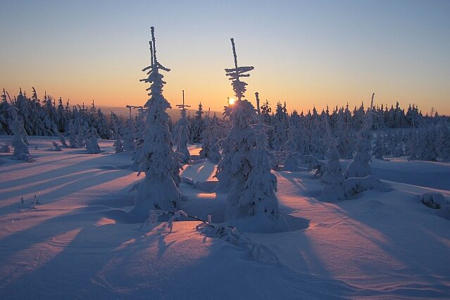 Winterwald im Abendrot