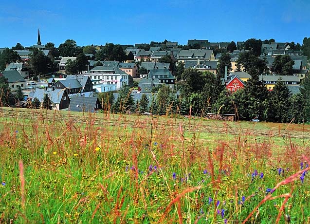 Blick auf den Kurort Altenberg im Sommer