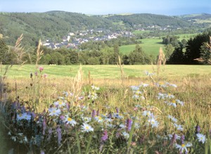 Blick auf das idyllische Bergbaustädtchen Geising, Erholung pur beim Wandern - Foto: Christian Prager