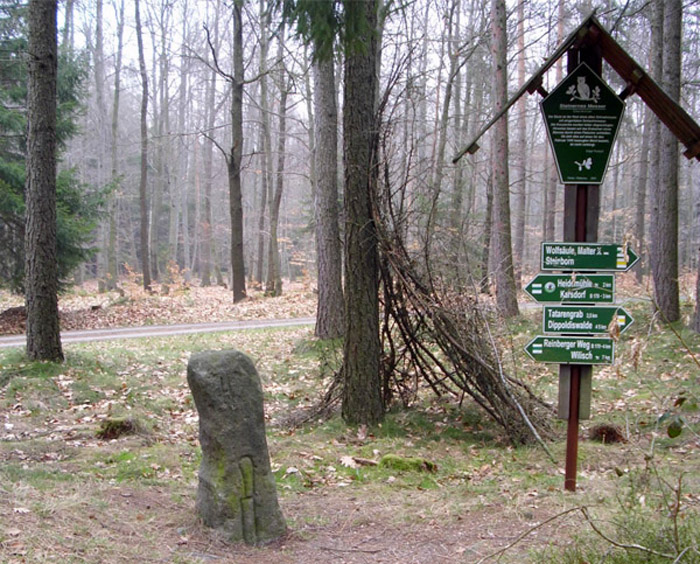 Dippser Heide