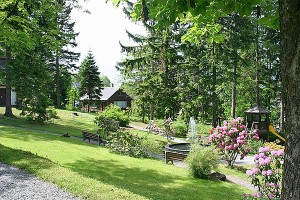 der Kurpark in Bärenfels der Kurpark in Bärenfels
