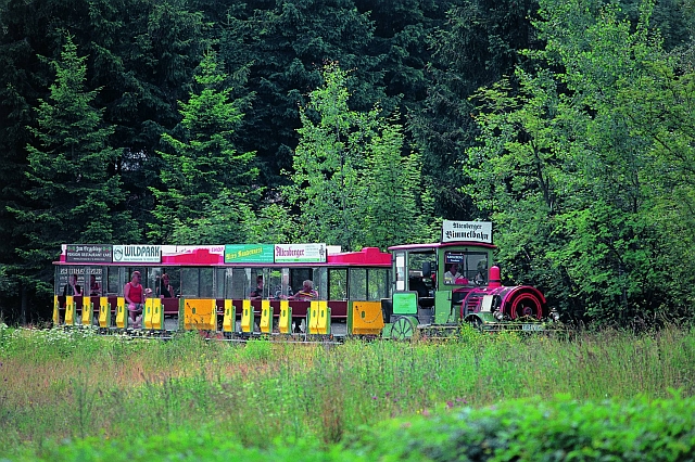 Altenberger Bimmelbahn auf Fahrt durch das Erzgebirge