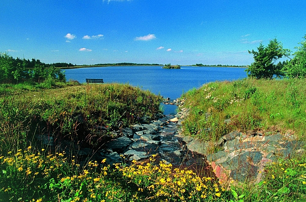 Die Galgenteiche im Sommer