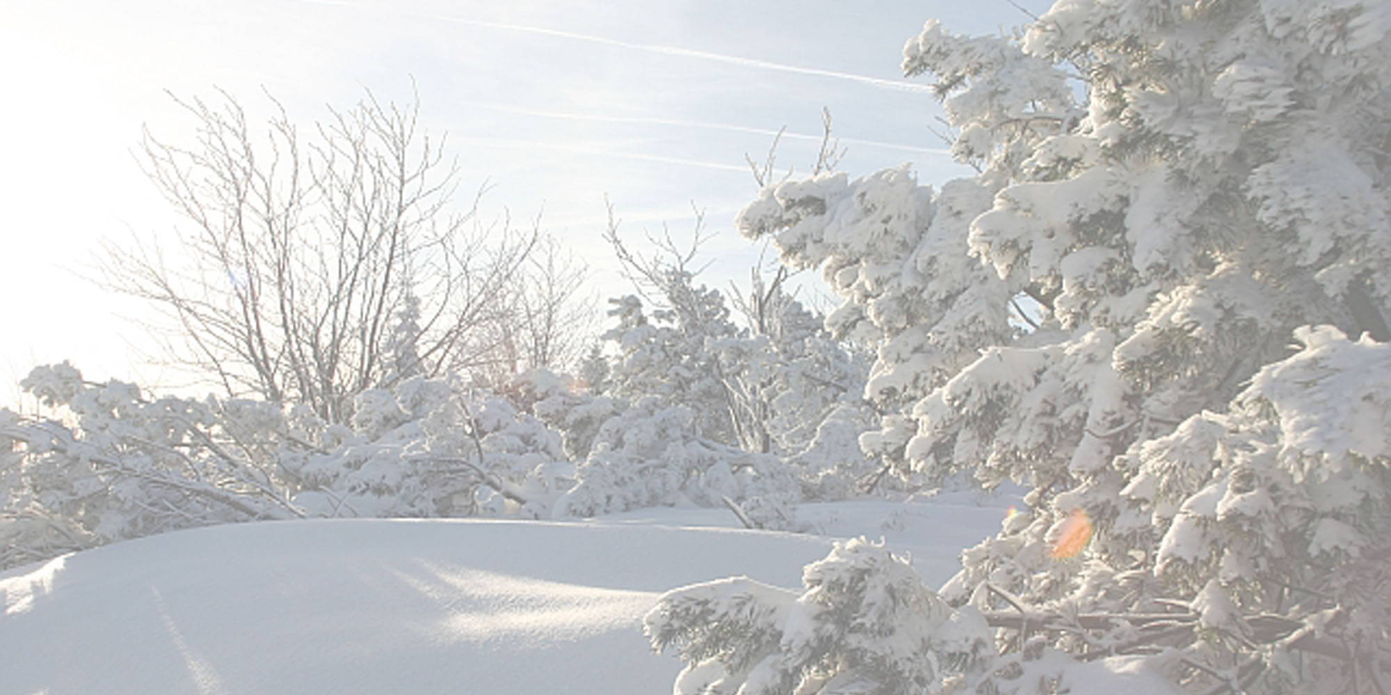 Hintergrund Winter