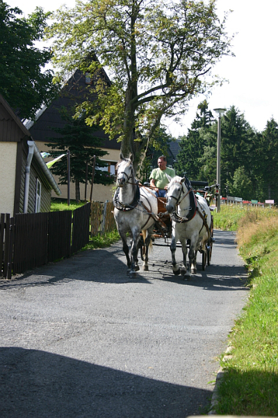 Mit der Pferdekutsche durch das Erzgebirge