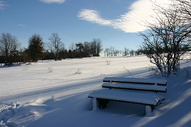 Sonnenschein im Winter