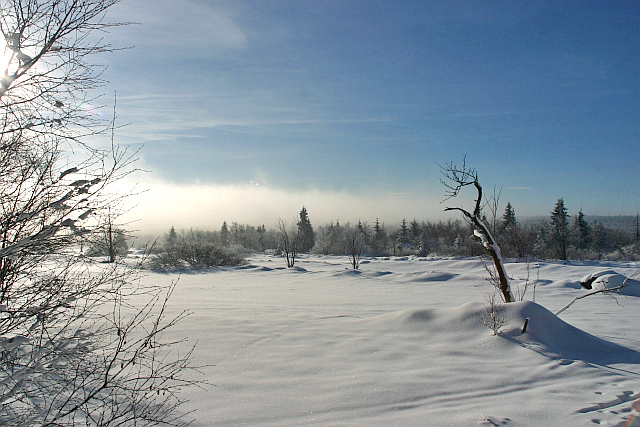 Unberührte Winterlandschaft